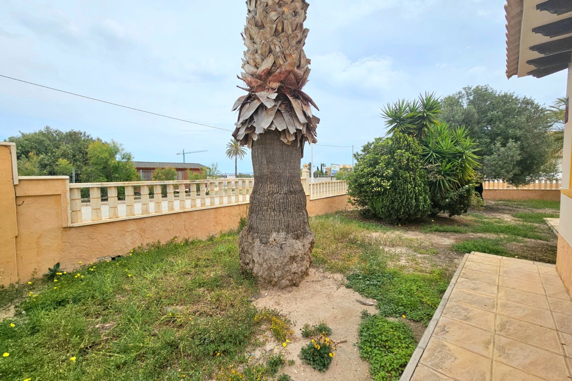 Venta - Chalet - Elche Pedanías - La Marina