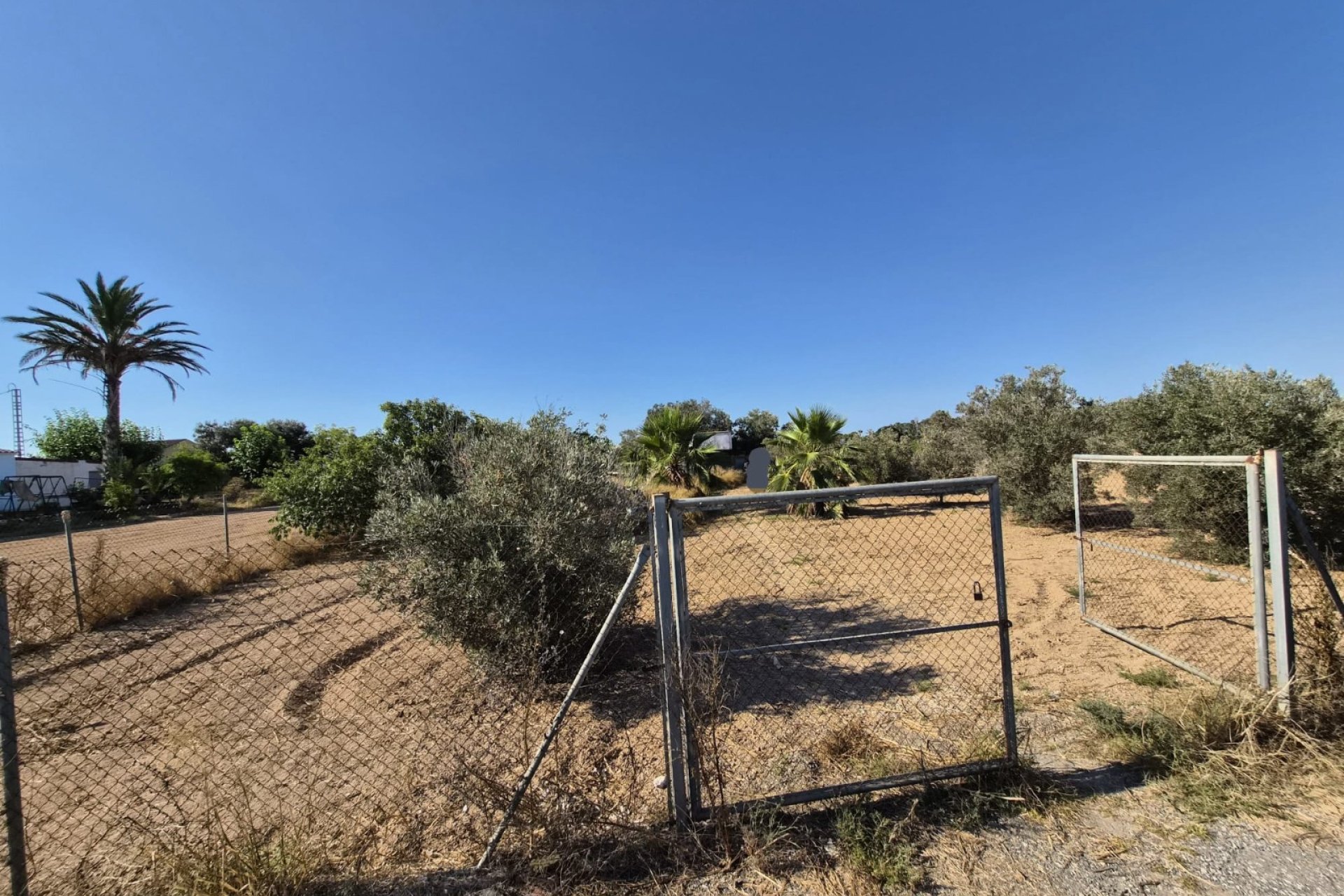 Venta - Finca - Guardamar del Segura