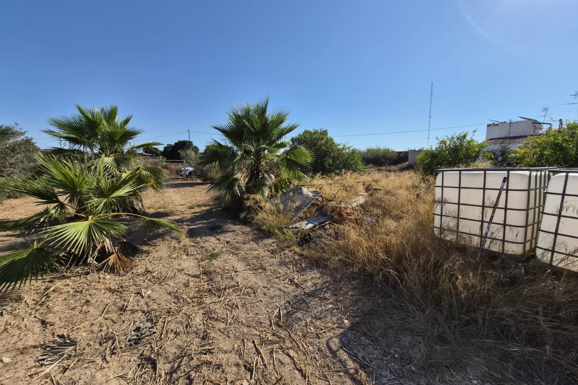 Venta - Finca - Guardamar del Segura