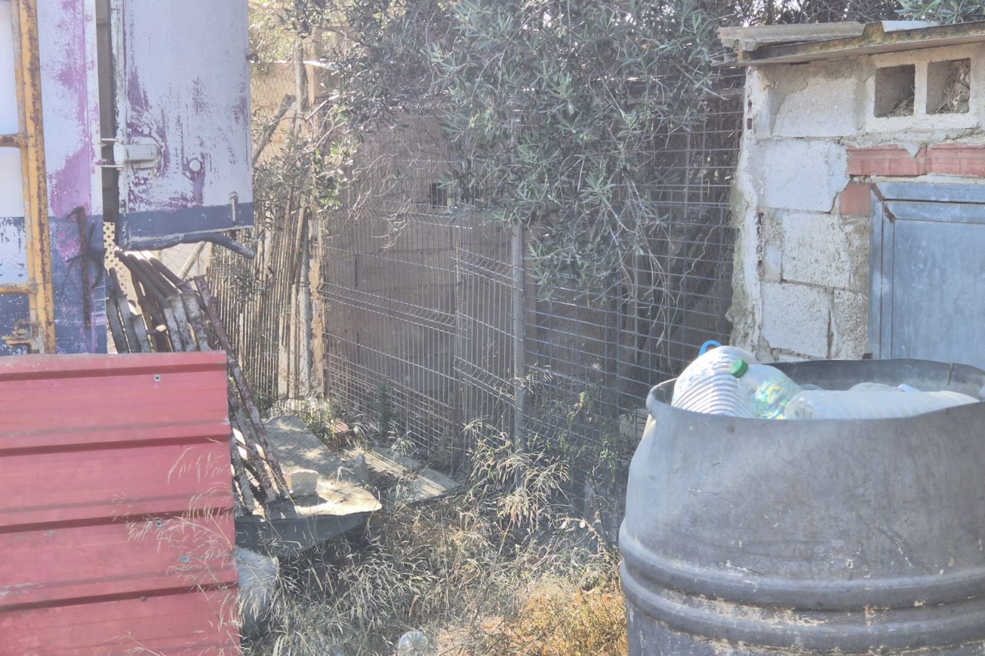 Venta - Finca - Guardamar del Segura