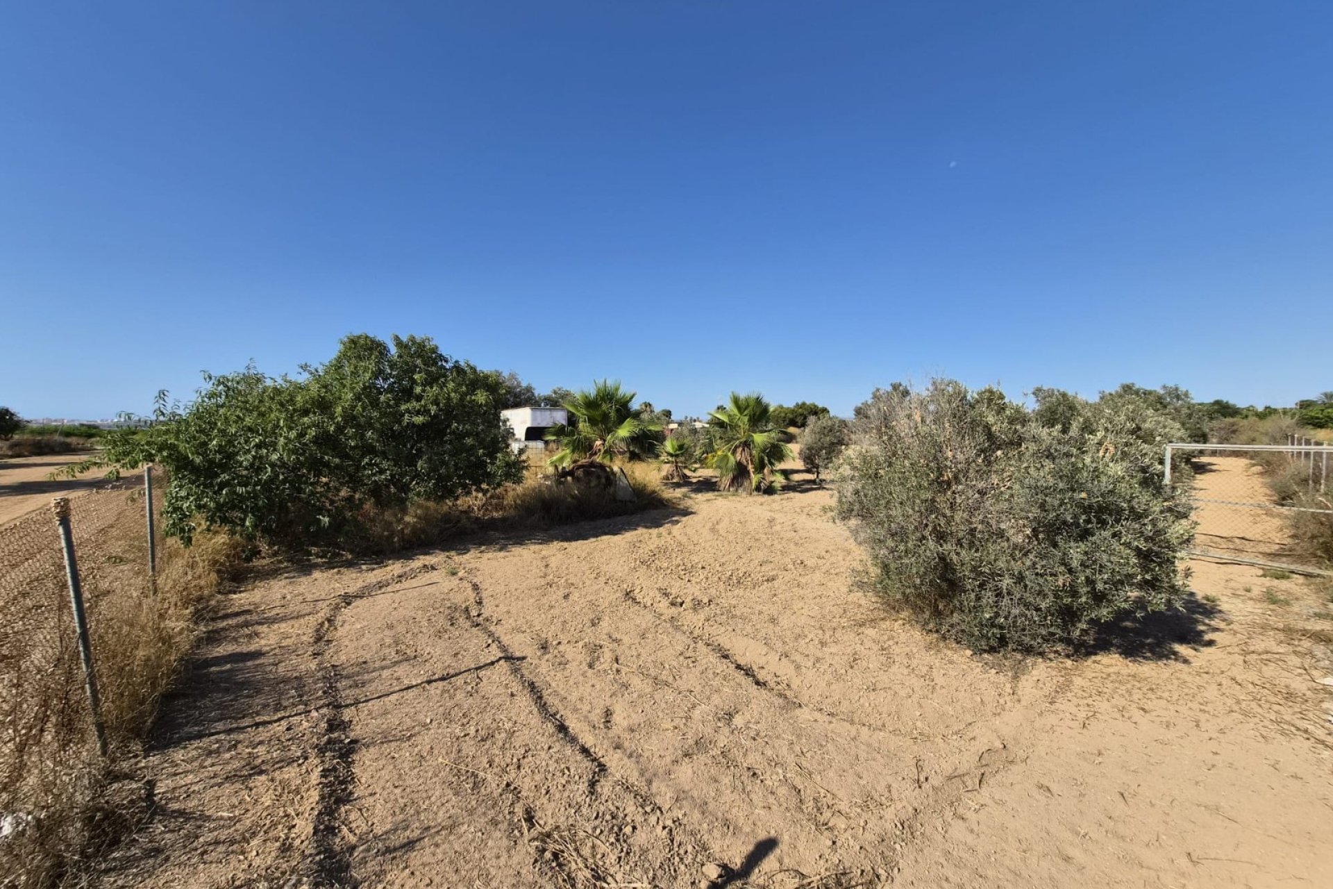 Venta - Finca - Guardamar del Segura
