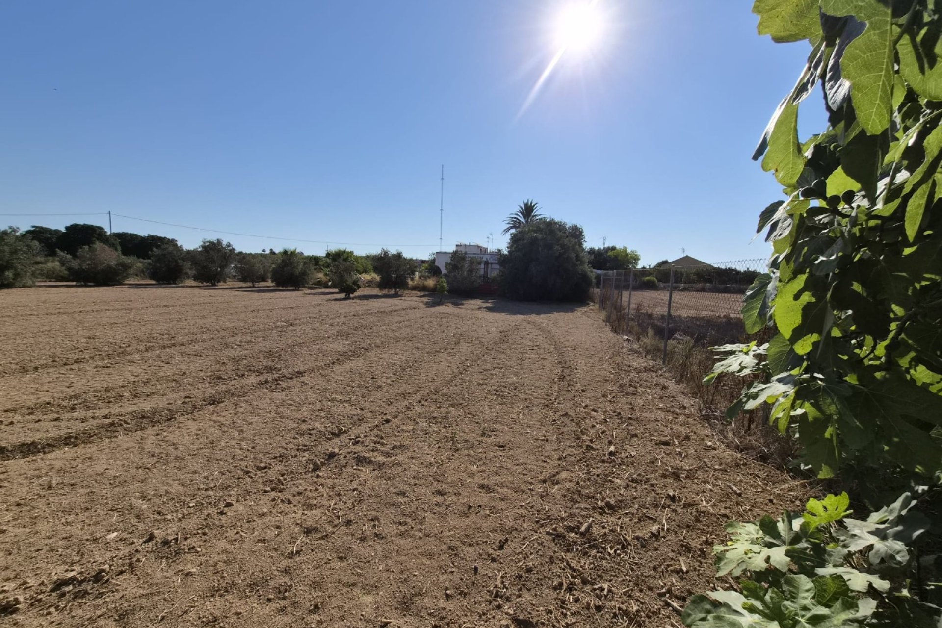 Venta - Finca - Guardamar del Segura
