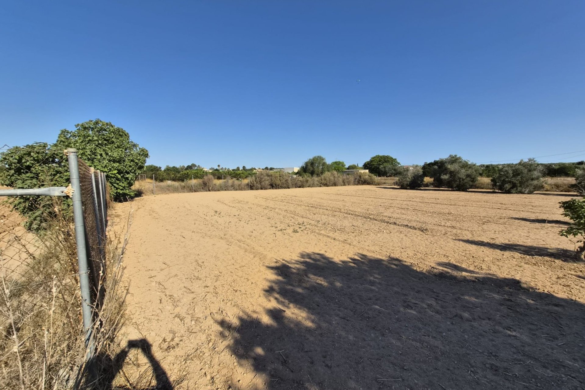 Venta - Finca - Guardamar del Segura