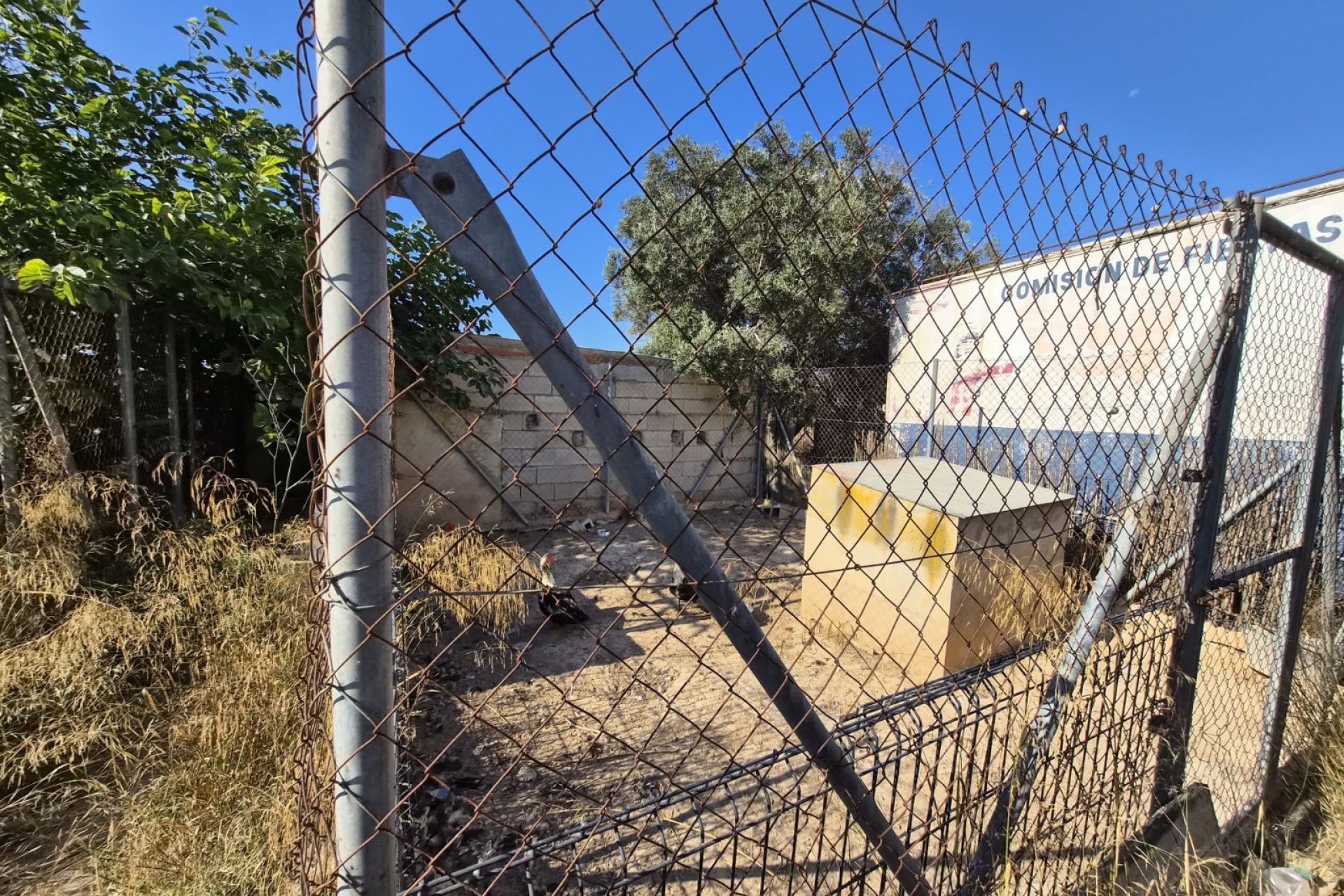 Venta - Finca - Guardamar del Segura