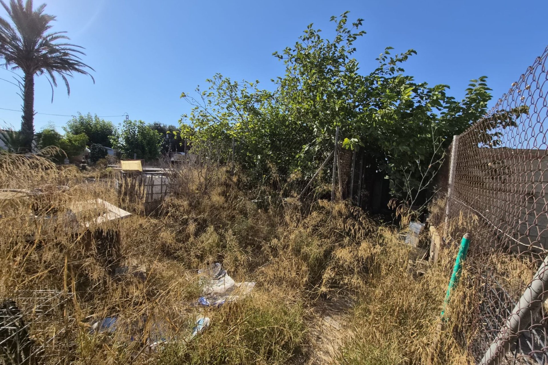 Venta - Finca - Guardamar del Segura