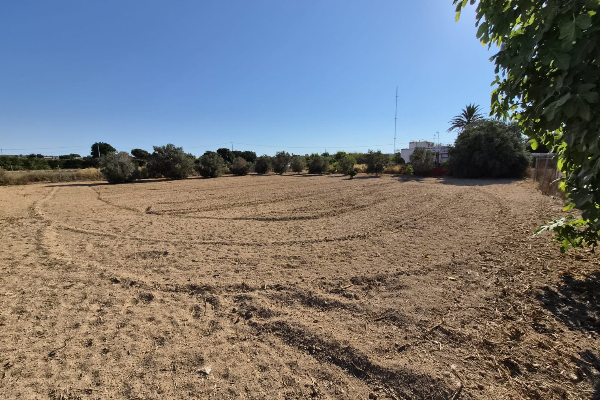 Venta - Finca - Guardamar del Segura