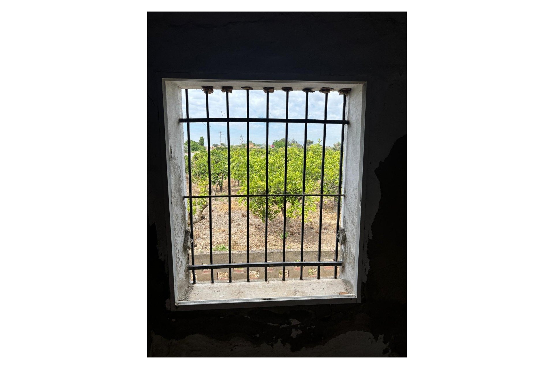 Venta - Finca - Rojales - Ciudad Quesada