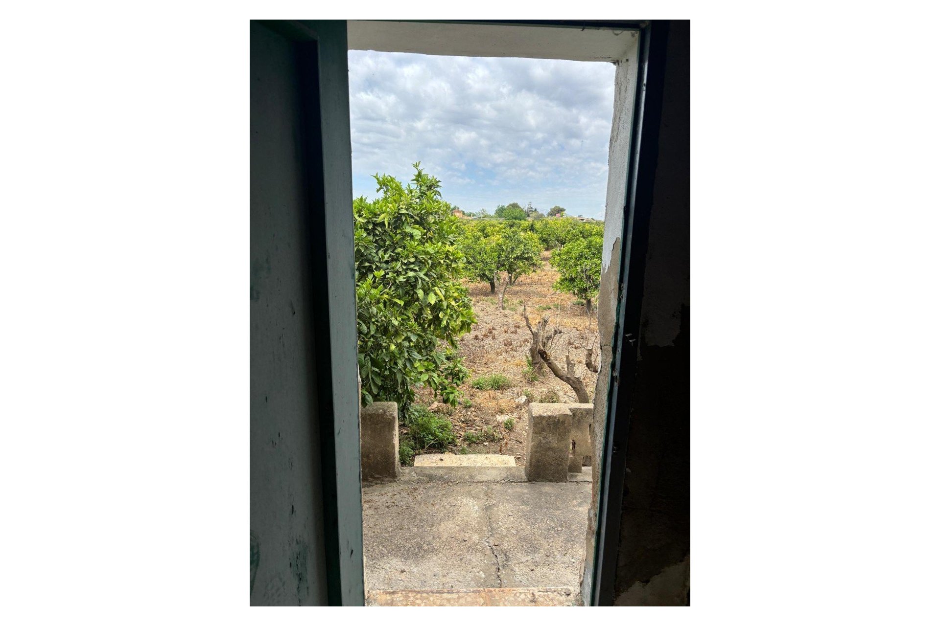 Venta - Finca - Rojales - Ciudad Quesada