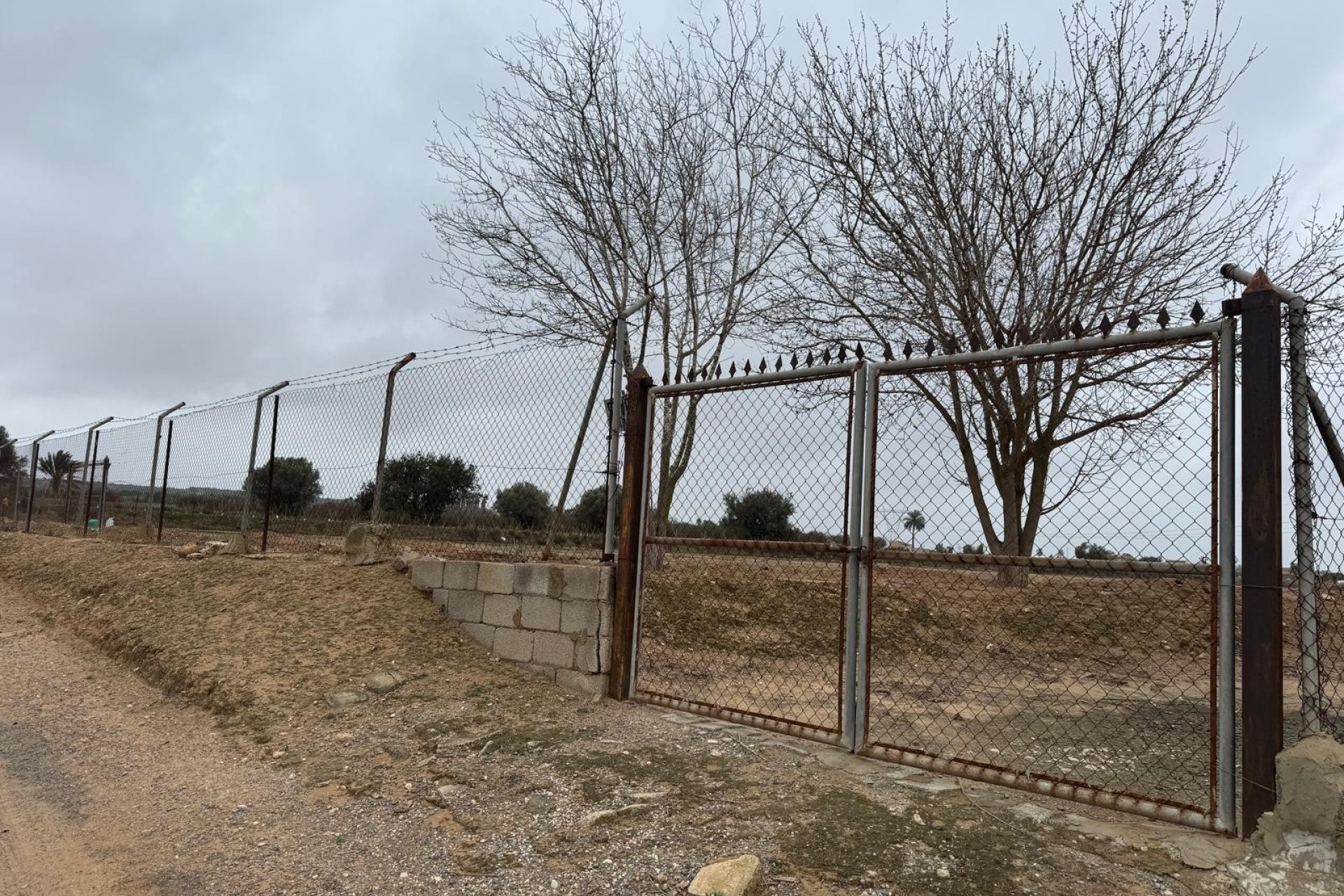 Venta - Parcela/Terreno - Elche Pedanías - La Marina