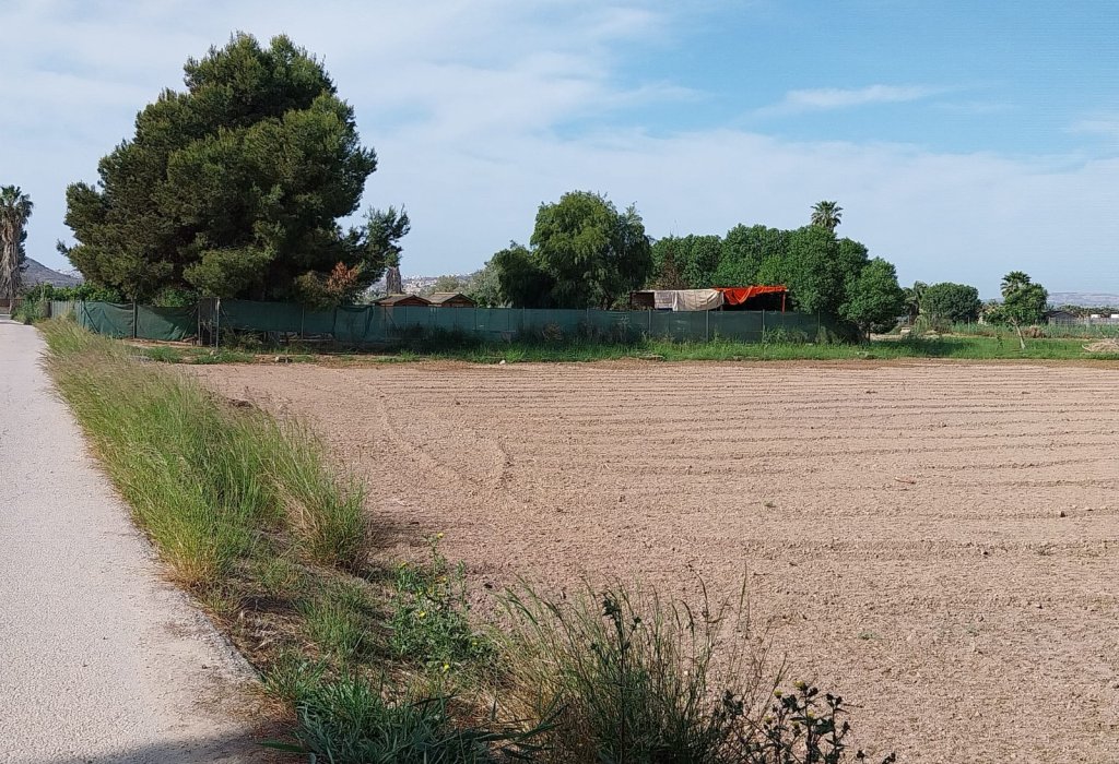 Venta - Parcela/Terreno - Guardamar del Segura - Guardamar Playa