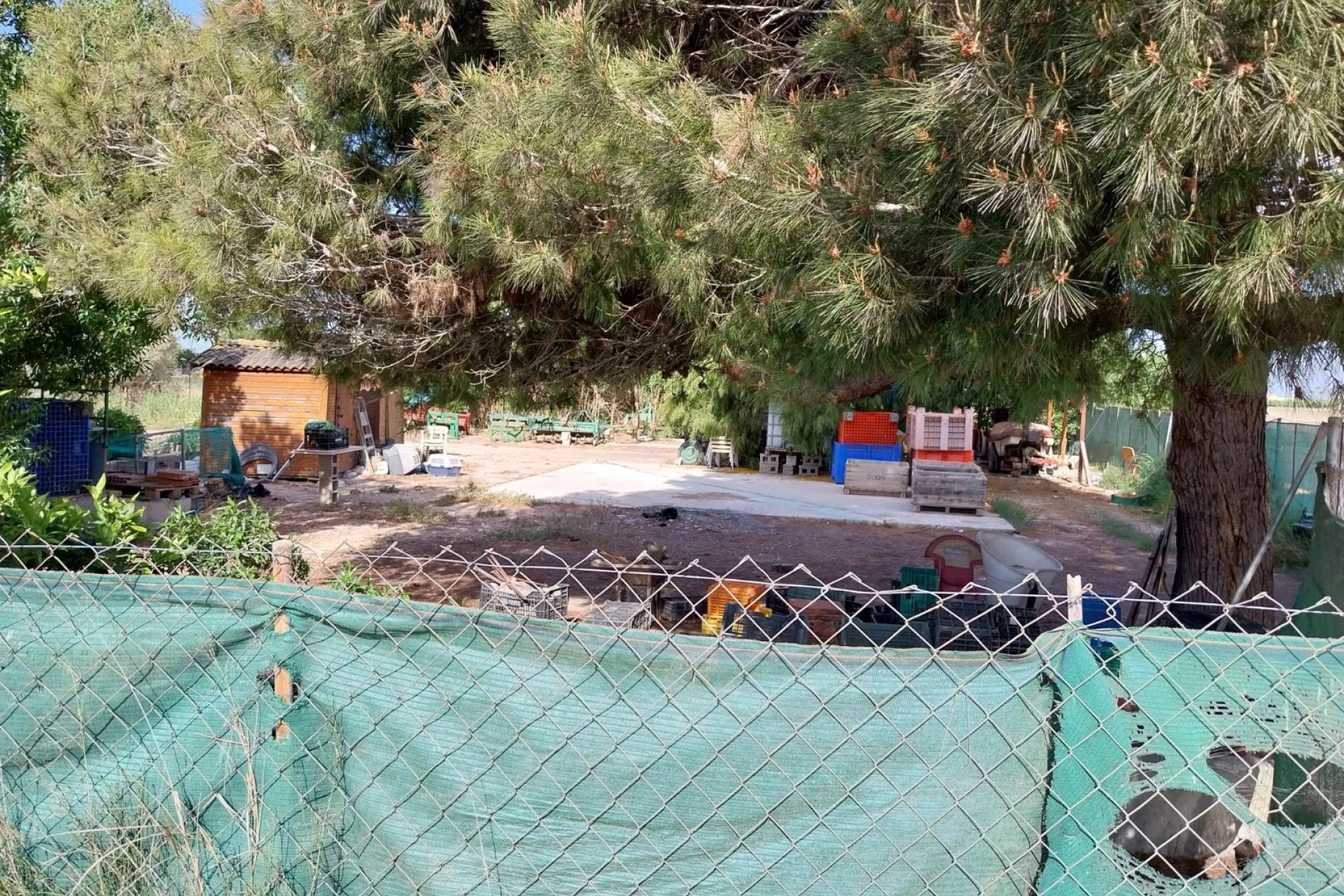 Venta - Parcela/Terreno - Guardamar del Segura - Guardamar Playa