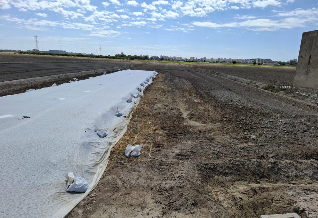 Venta - Parcela/Terreno - Guardamar del Segura - Guardamar Playa