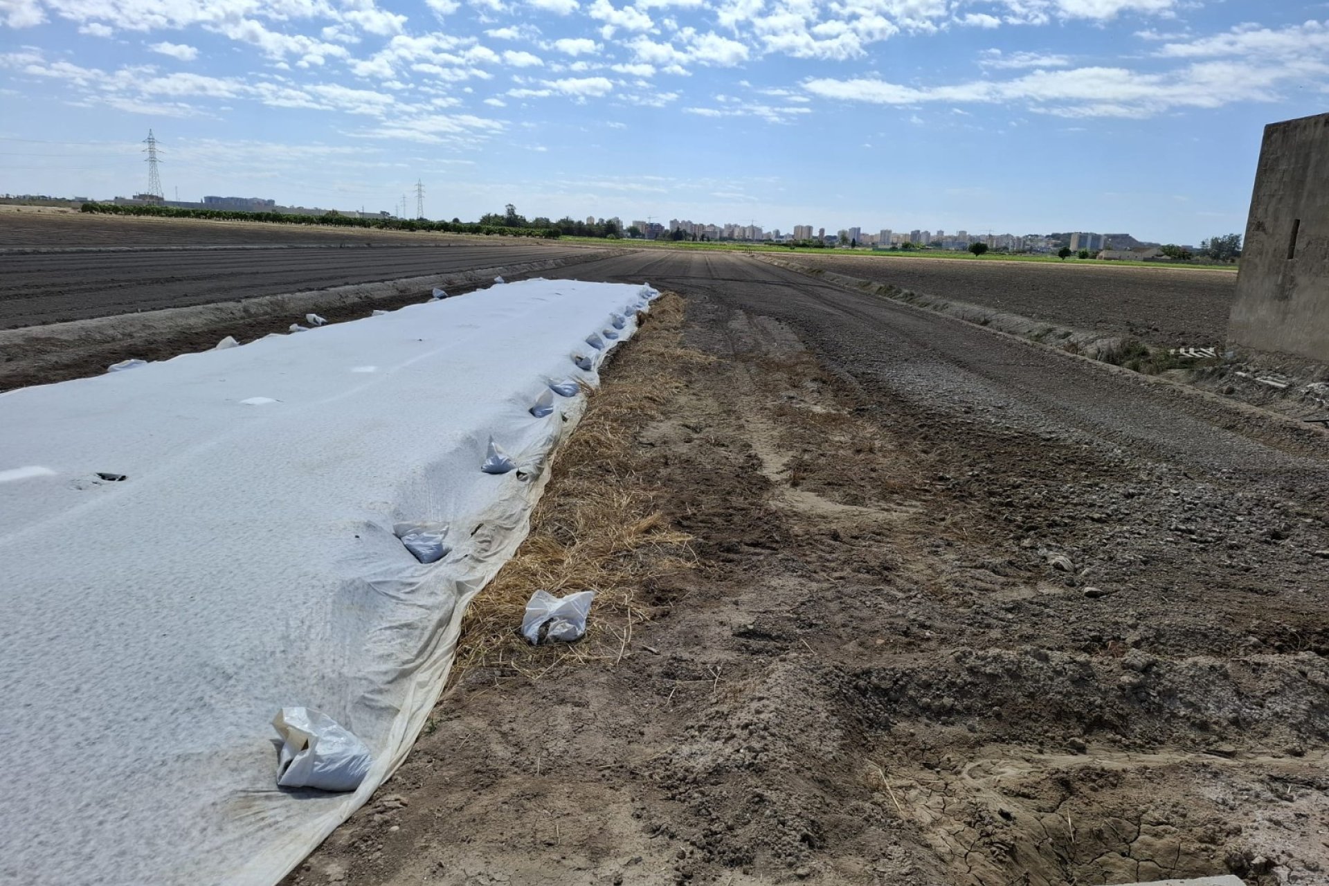 Venta - Parcela/Terreno - Guardamar del Segura - Guardamar Playa
