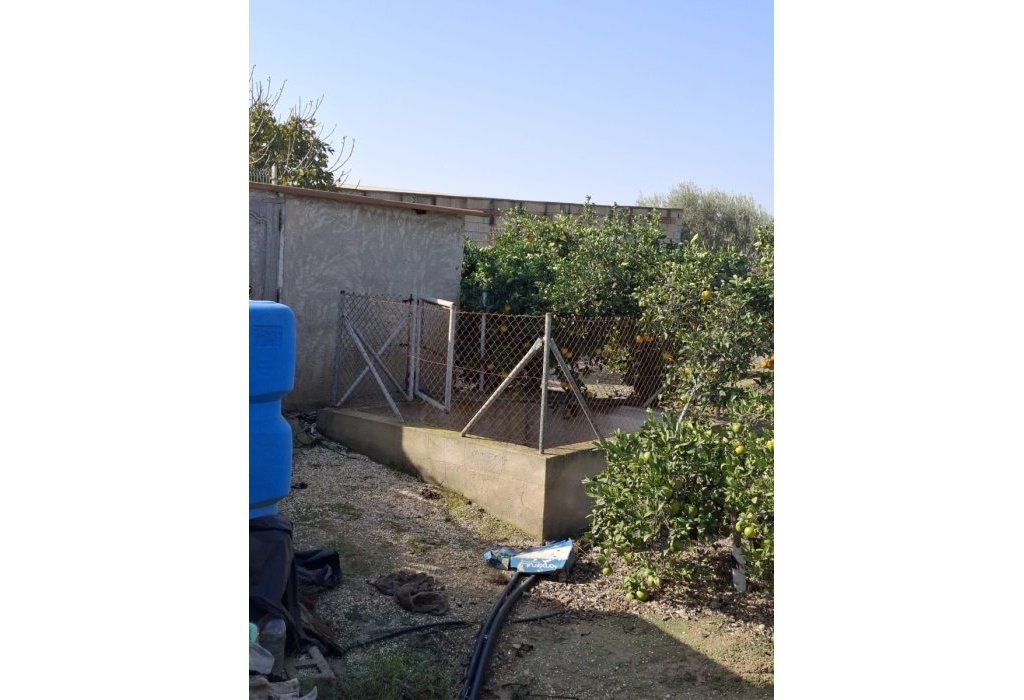 Venta - Parcela/Terreno - Guardamar del Segura - Guardamar pueblo