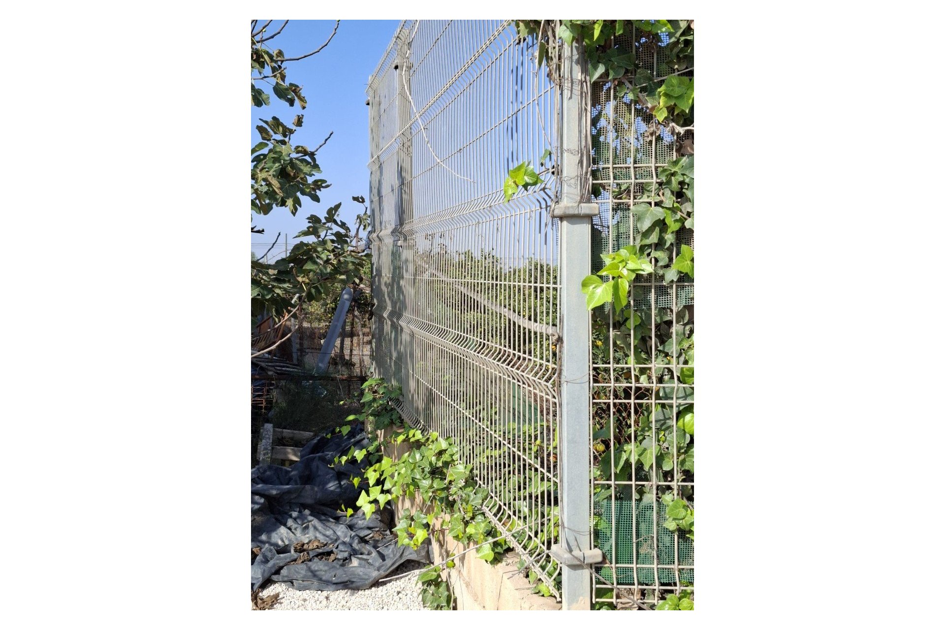 Venta - Parcela/Terreno - Guardamar del Segura - Guardamar pueblo