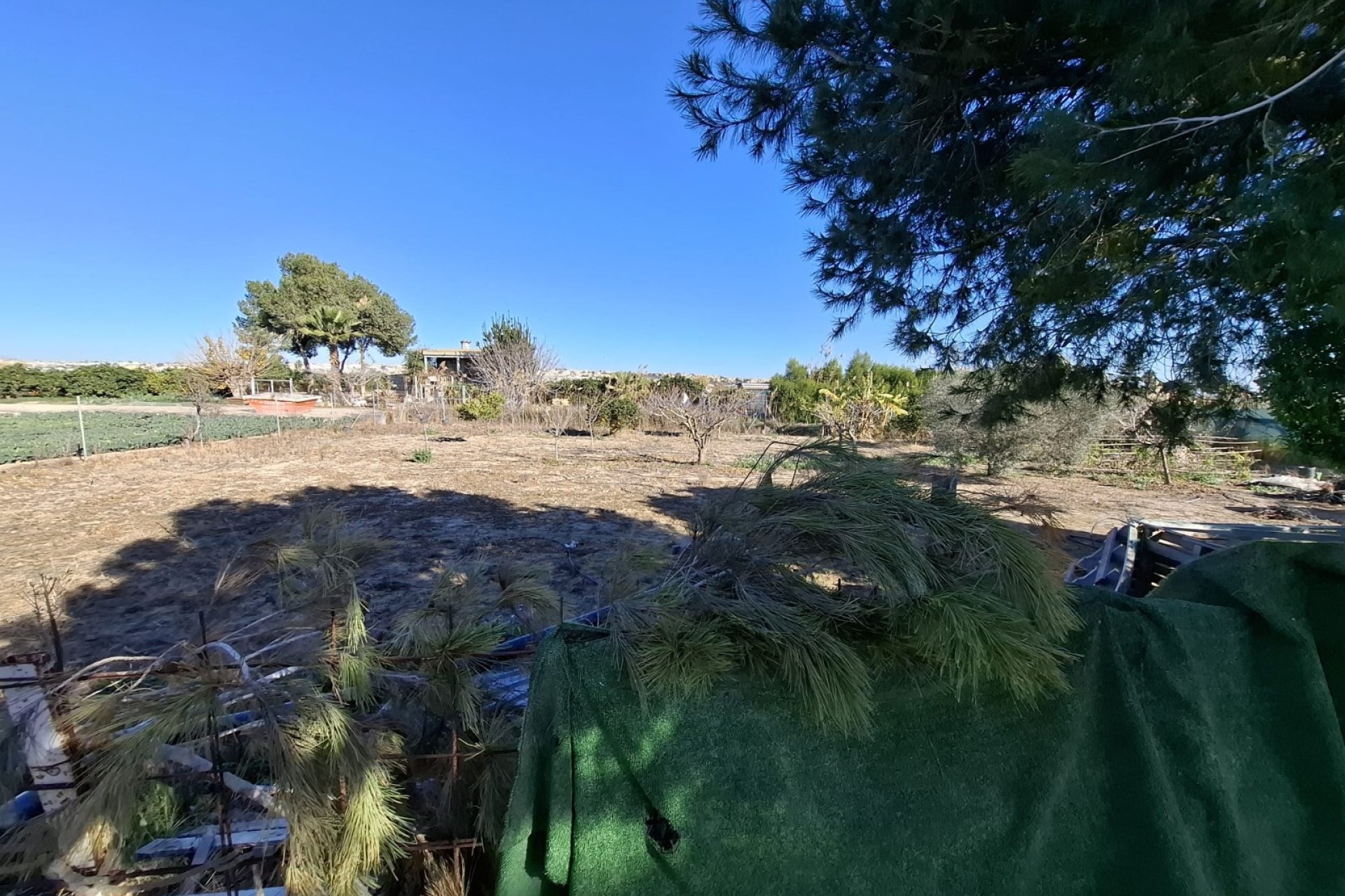 Venta - Parcela/Terreno - Guardamar del Segura - Guardamar pueblo