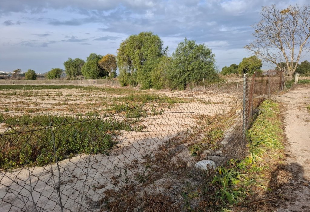 Venta - Parcela/Terreno - Guardamar del Segura - Guardamar pueblo