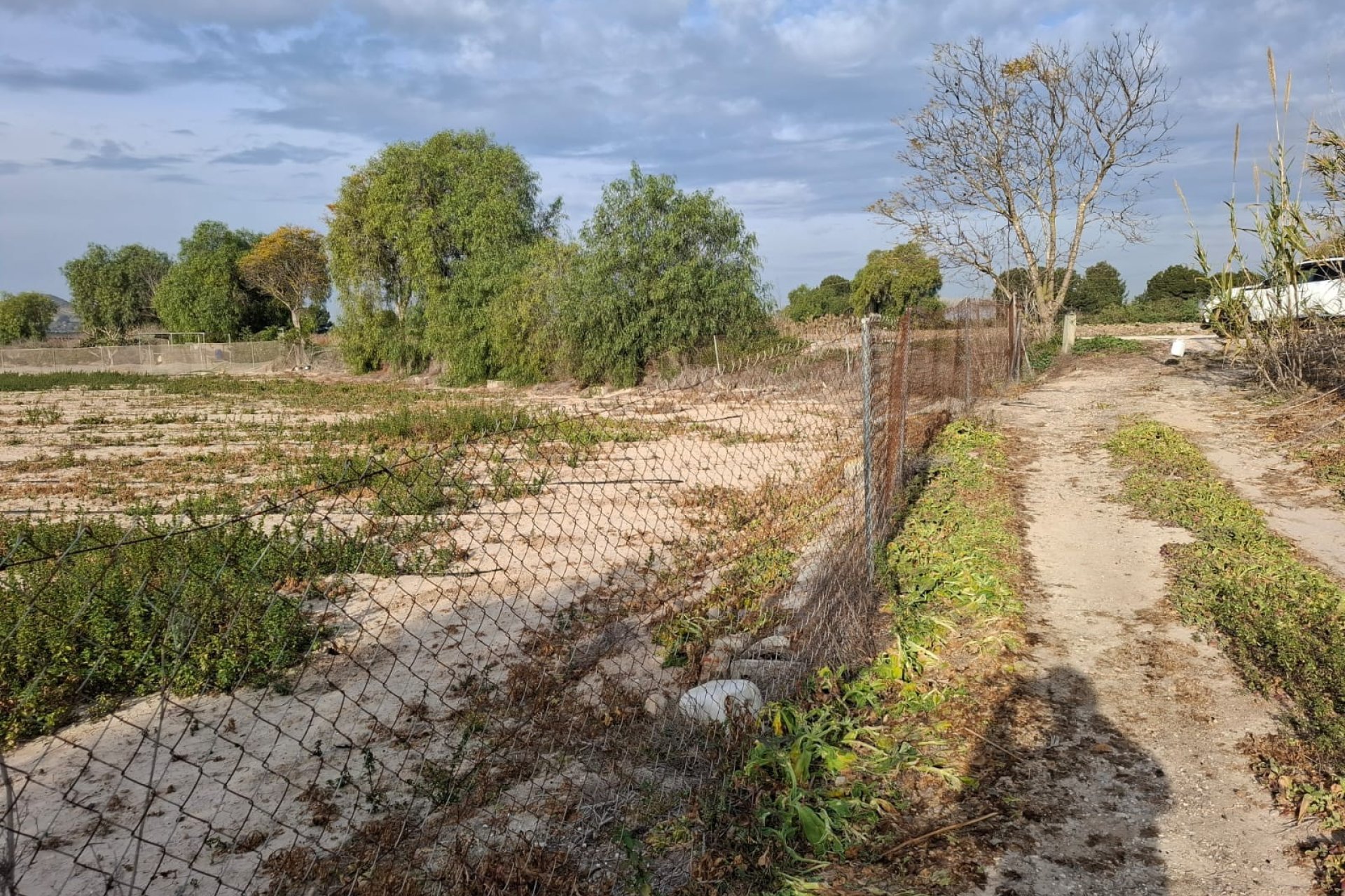 Venta - Parcela/Terreno - Guardamar del Segura - Guardamar pueblo