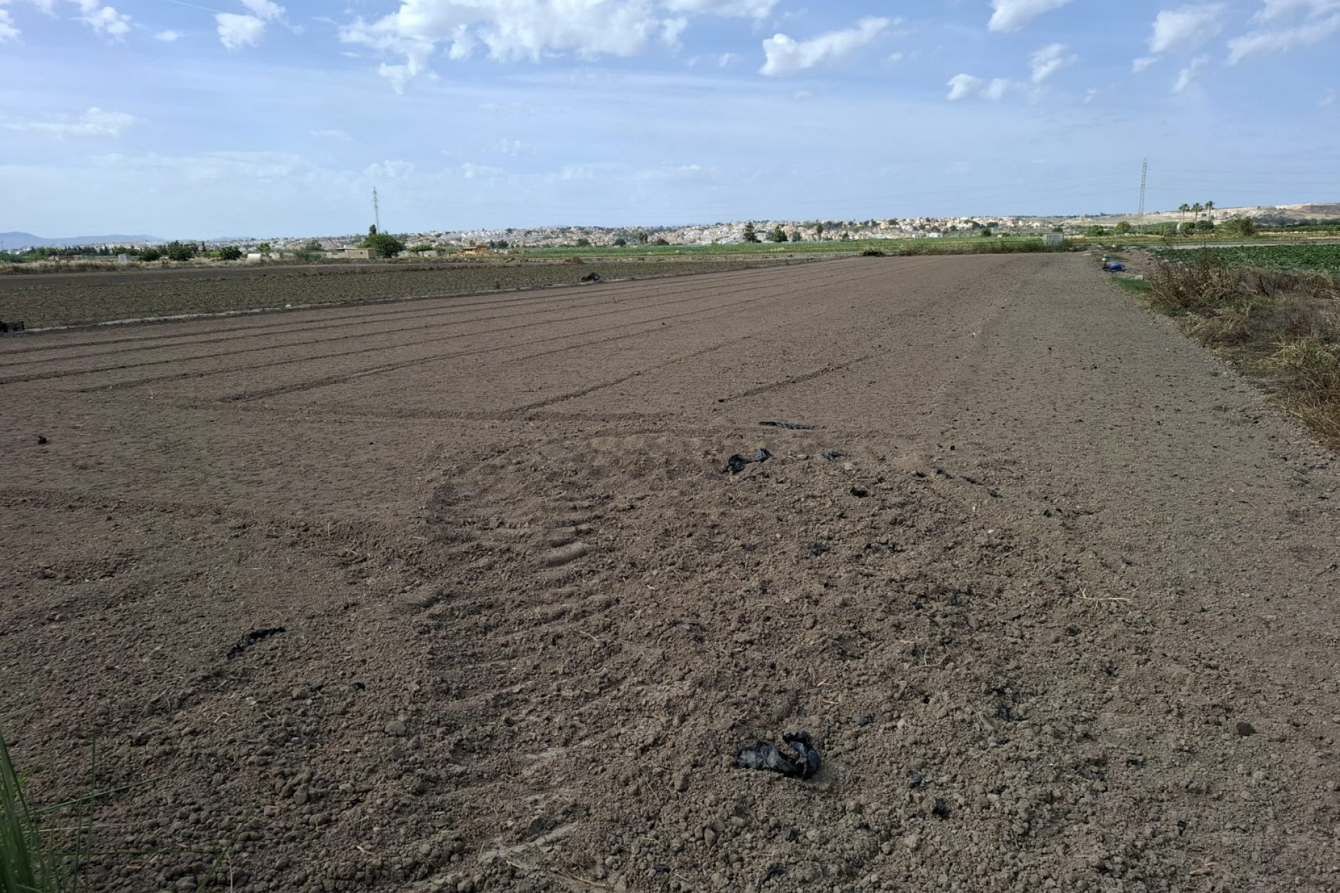 Venta - Parcela/Terreno - Guardamar del Segura - Guardamar pueblo