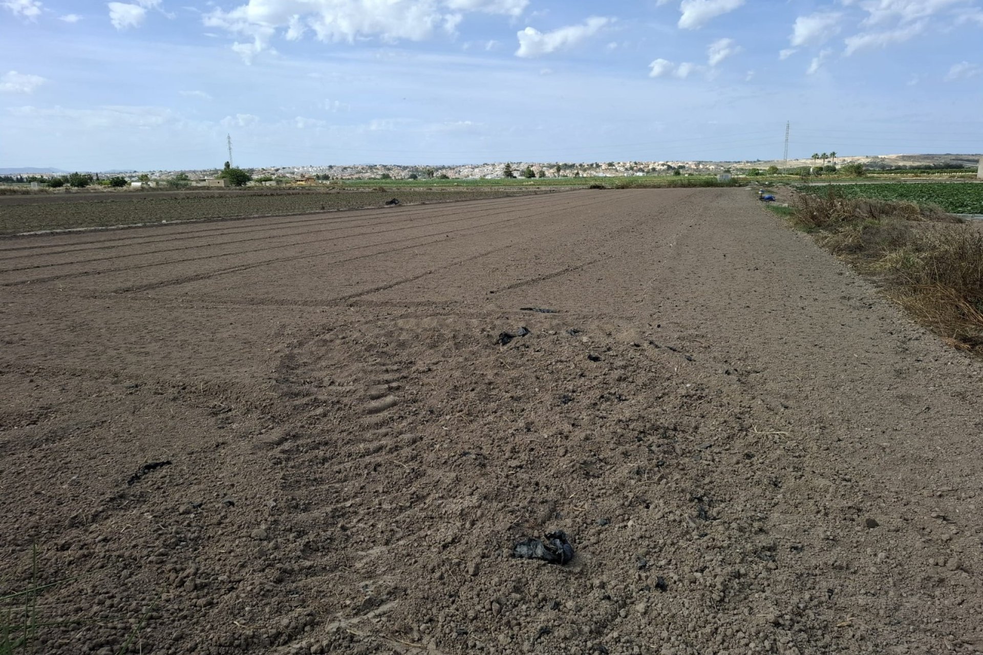 Venta - Parcela/Terreno - Guardamar del Segura - Guardamar pueblo