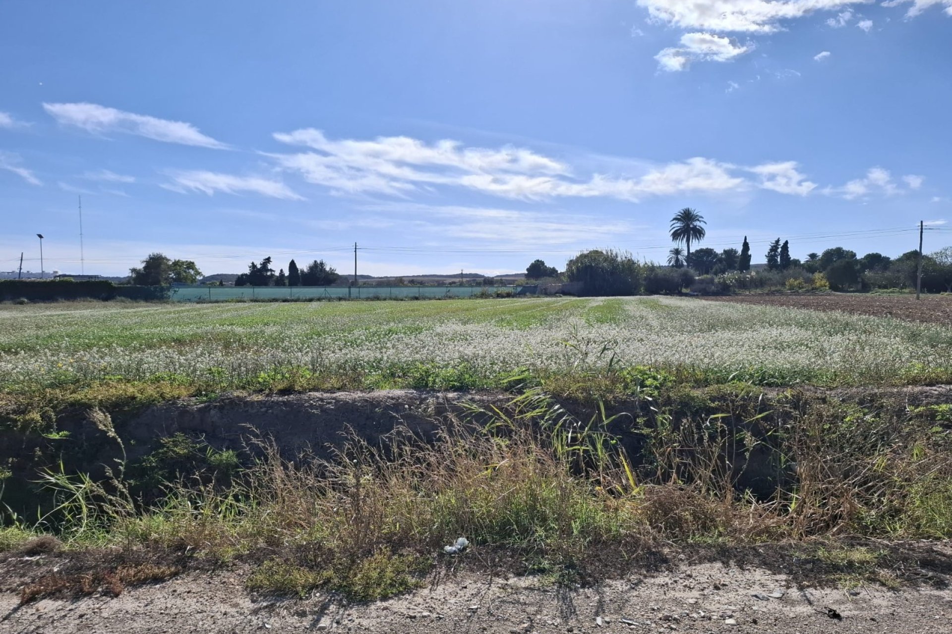 Venta - Parcela/Terreno - Guardamar del Segura - Guardamar pueblo