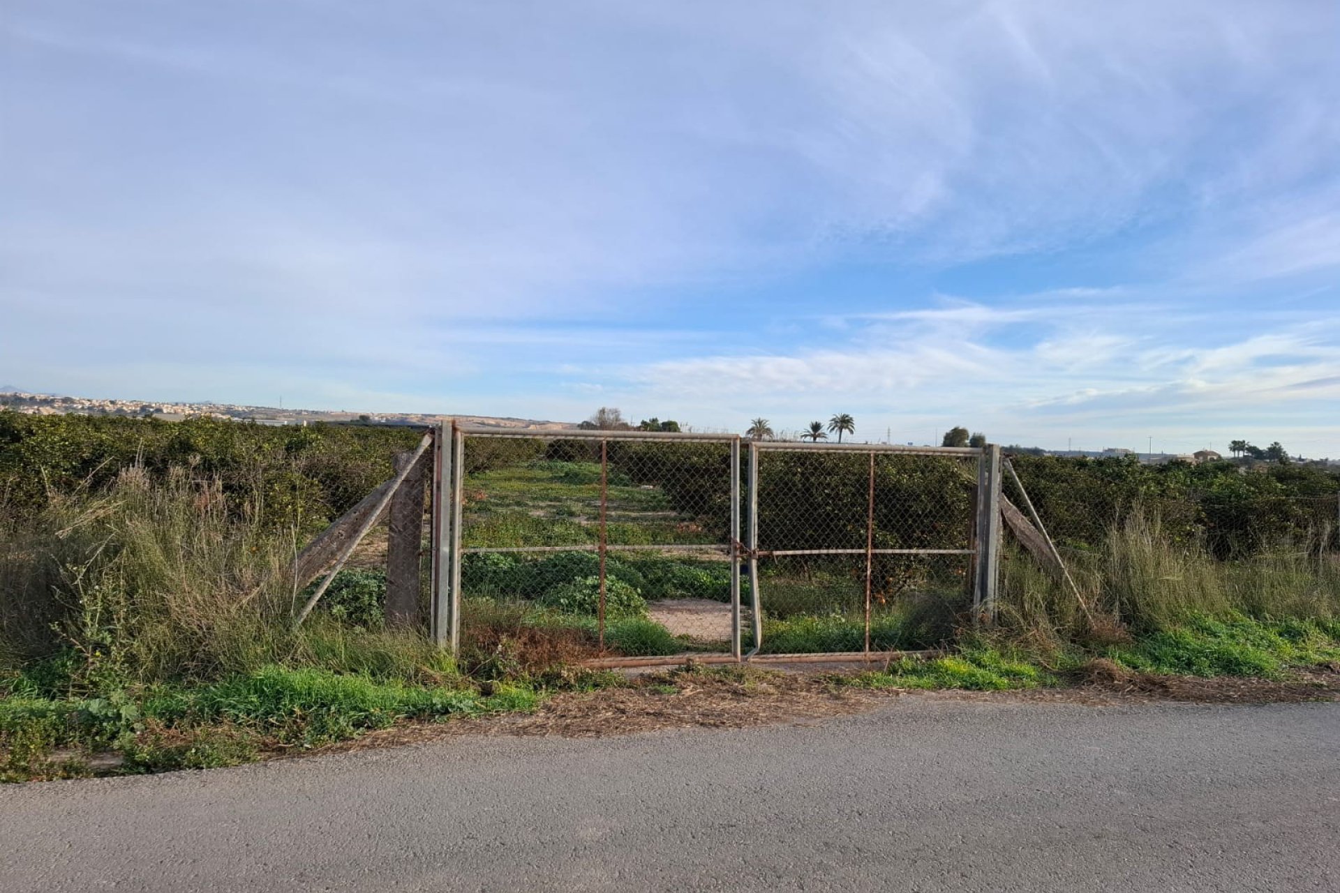 Venta - Parcela/Terreno - Guardamar del Segura - Urbanizaciones