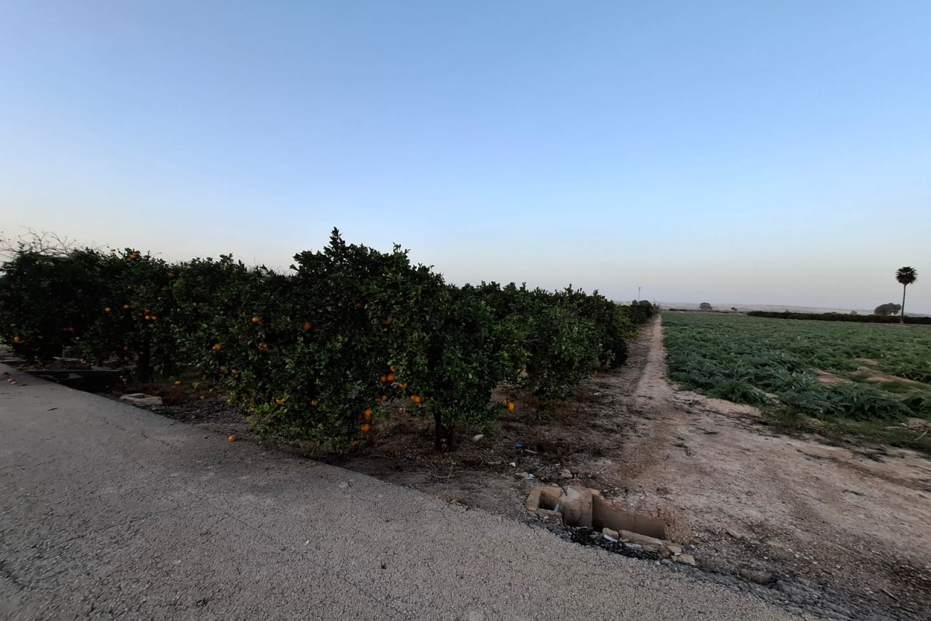 Venta - Parcela/Terreno - Guardamar del Segura