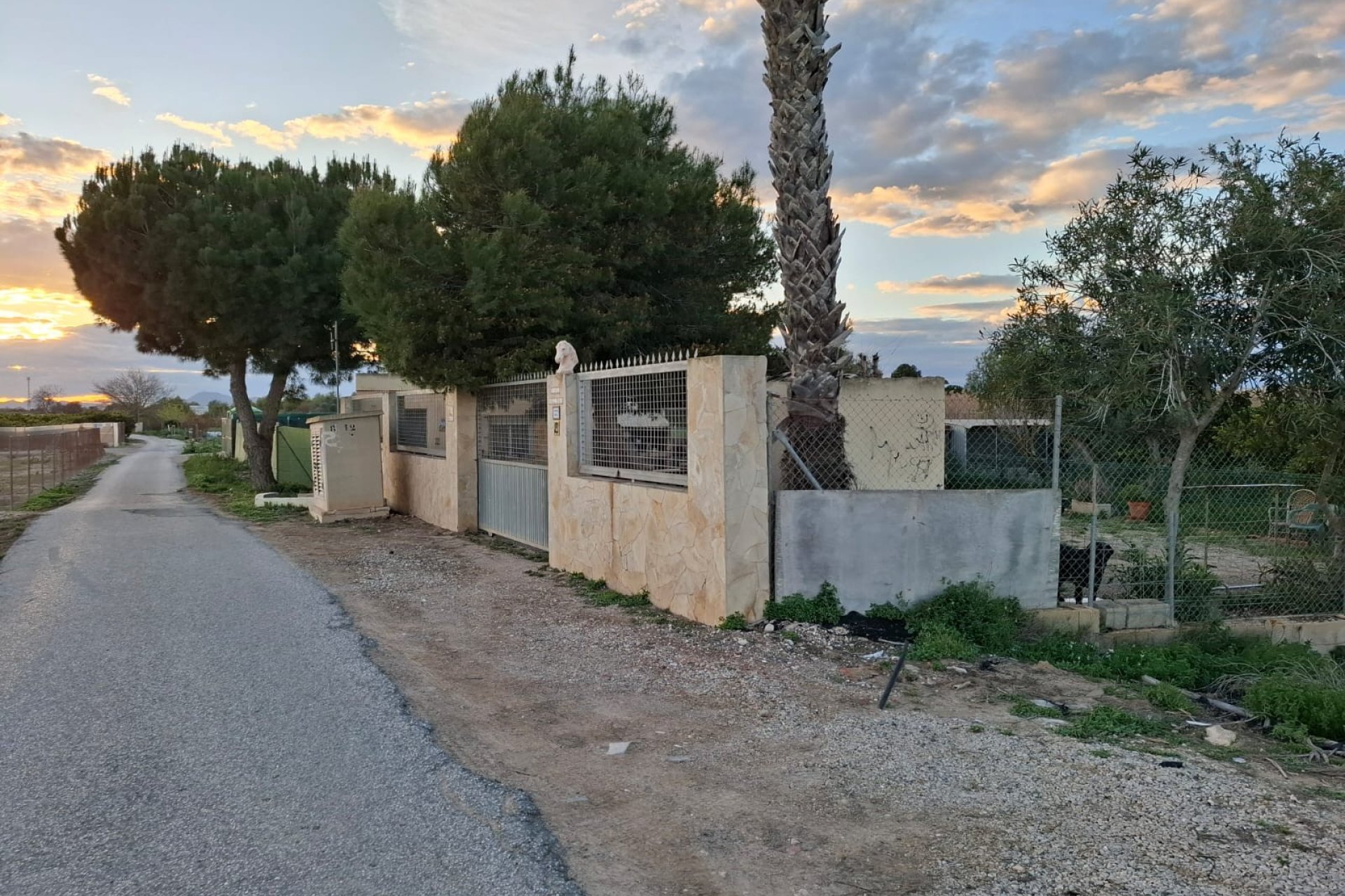 Venta - Parcela/Terreno - Guardamar del Segura