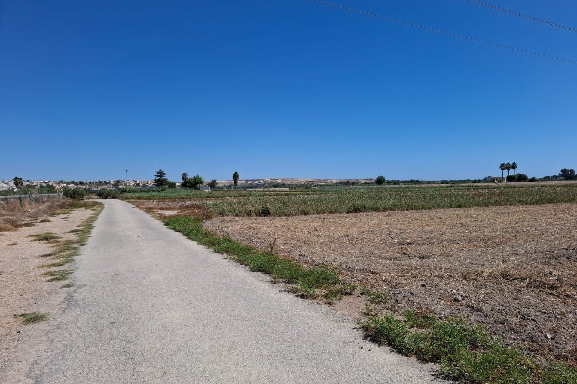 Venta - Parcela/Terreno - Guardamar del Segura