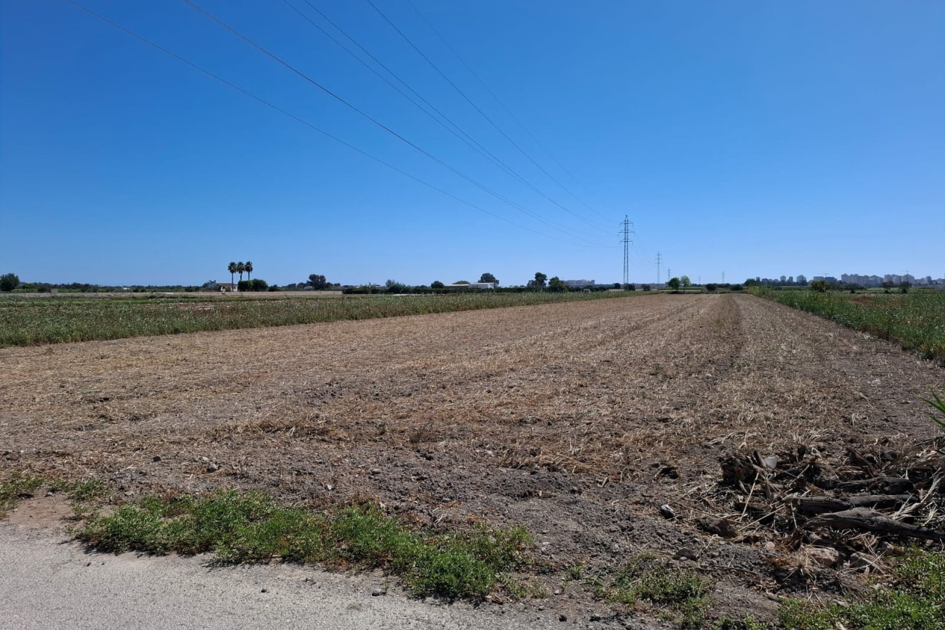 Venta - Parcela/Terreno - Guardamar del Segura