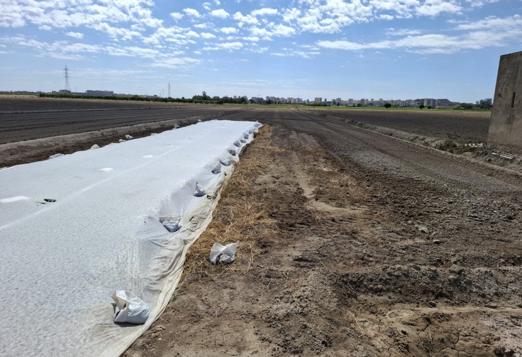 Venta - Parcela/Terreno - Guardamar del Segura