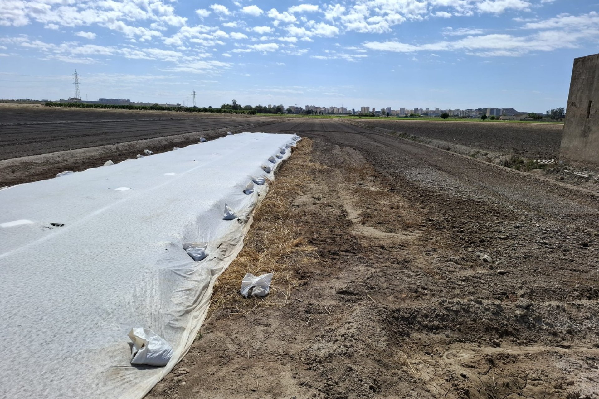 Venta - Parcela/Terreno - Guardamar del Segura