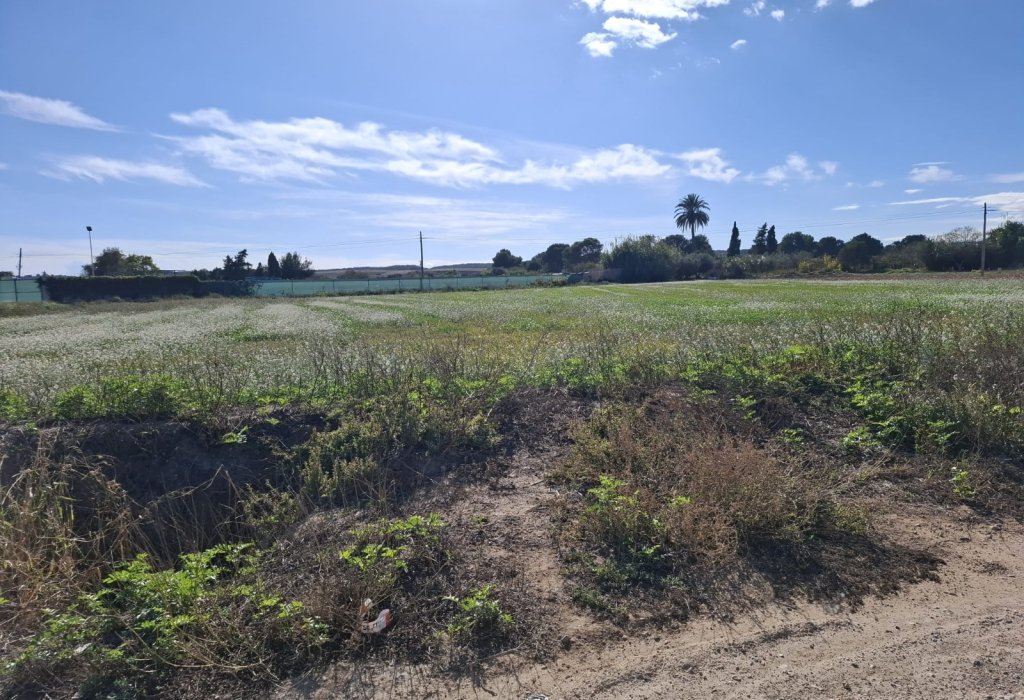 Venta - Parcela/Terreno - Guardamar del Segura