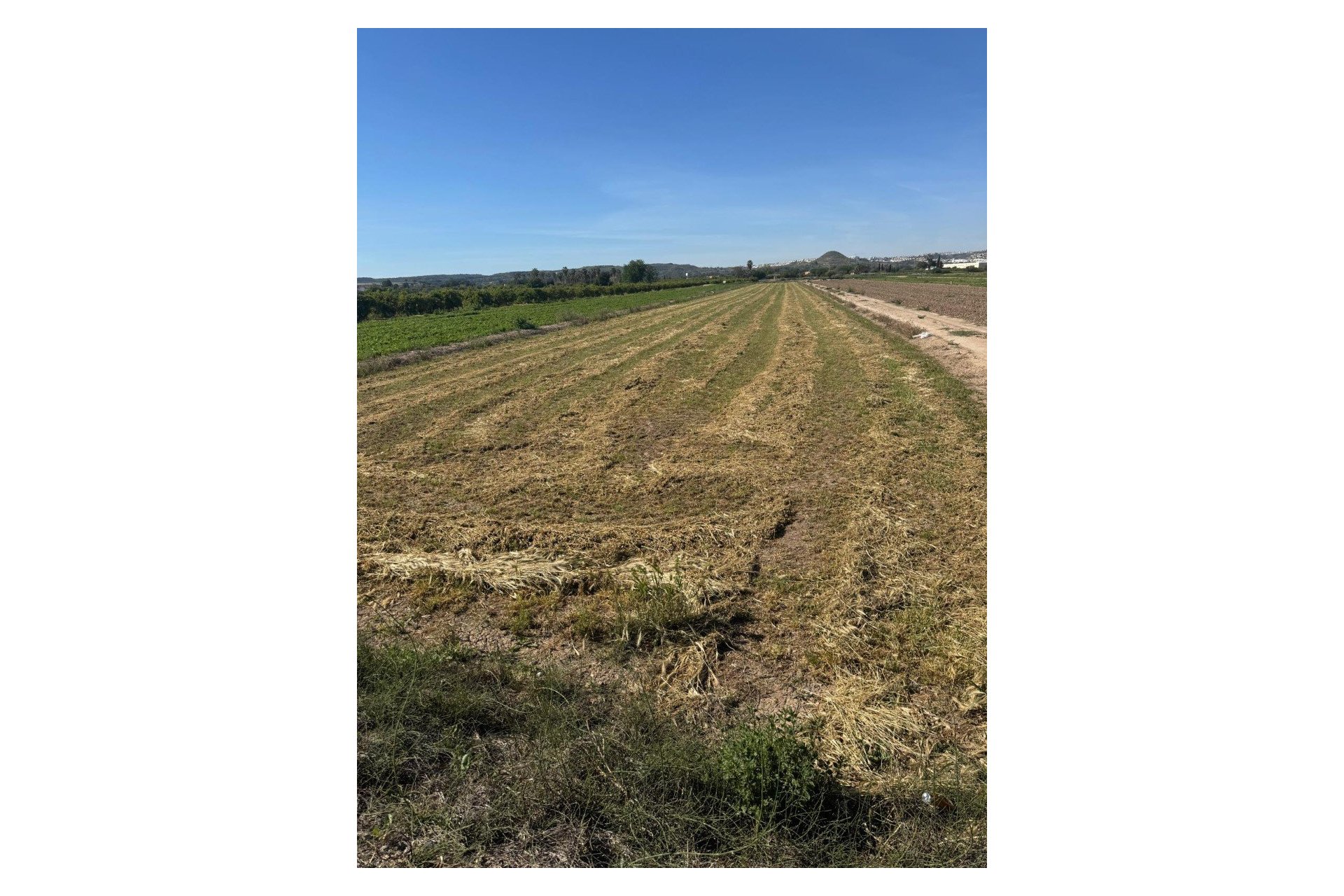 Venta - Parcela/Terreno - Guardamar del Segura