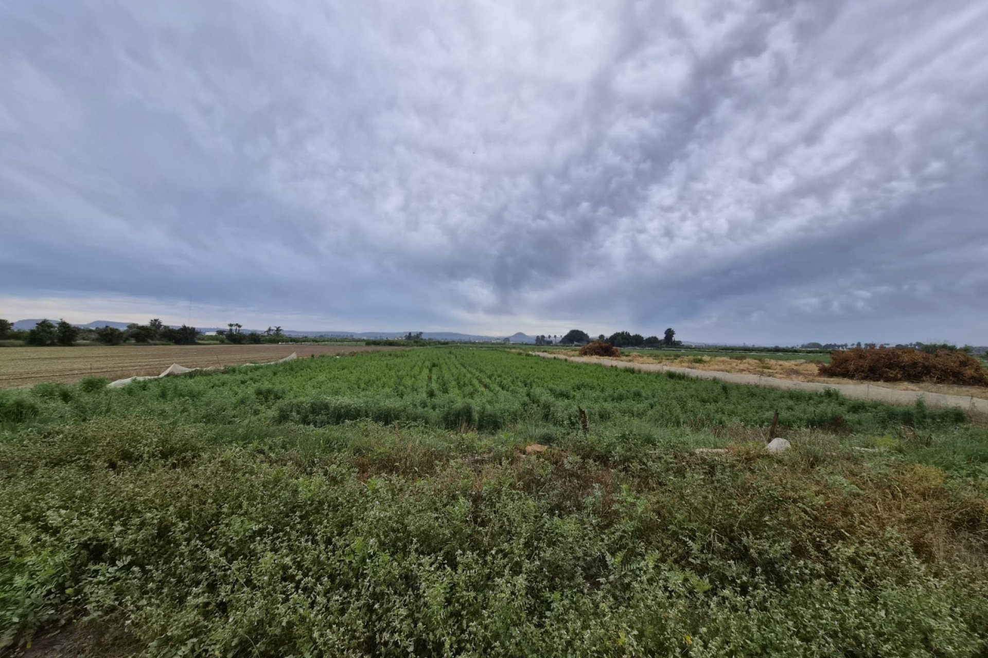 Venta - Parcela/Terreno - Guardamar del Segura