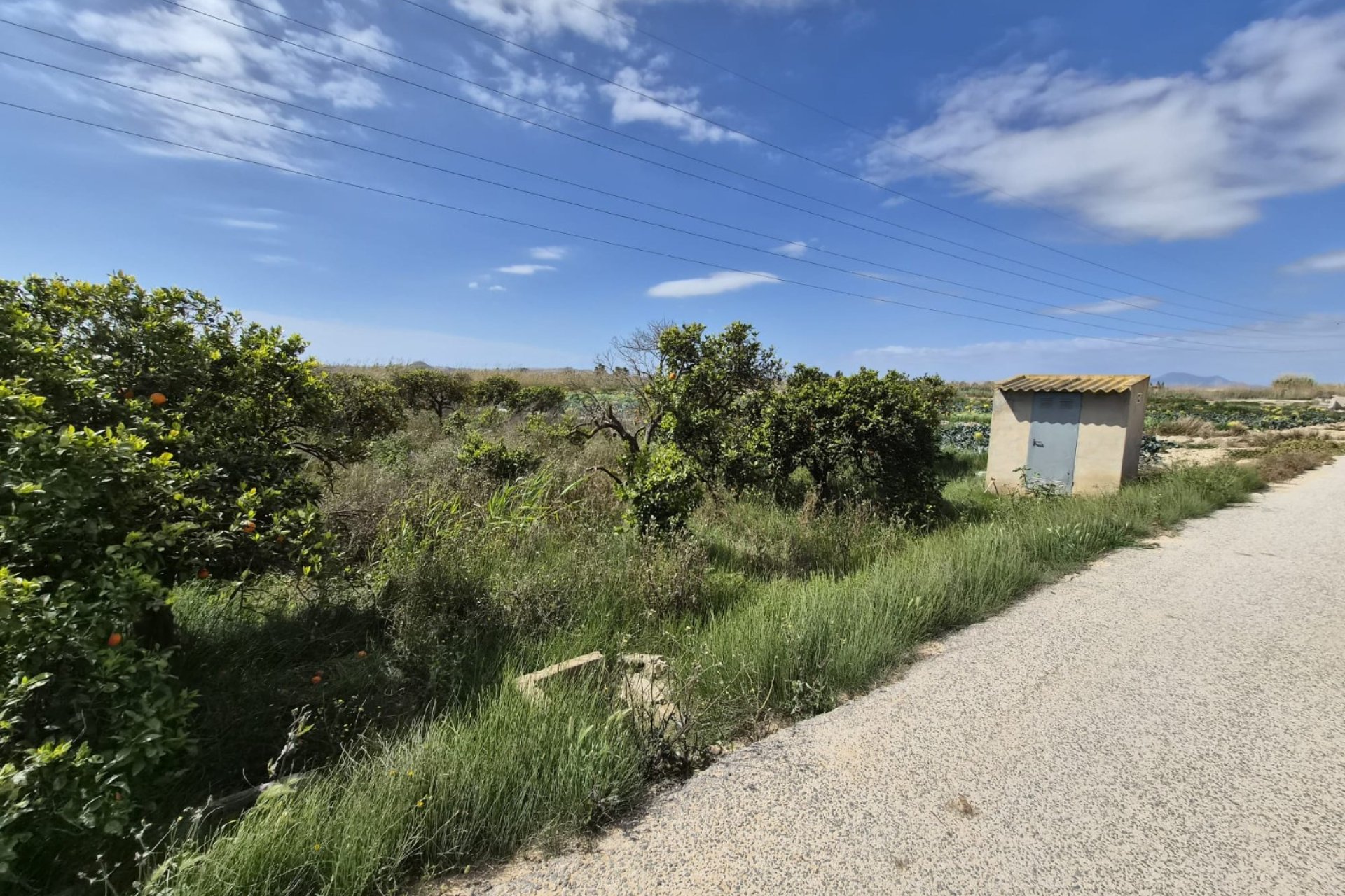 Venta - Parcela/Terreno - Guardamar del Segura