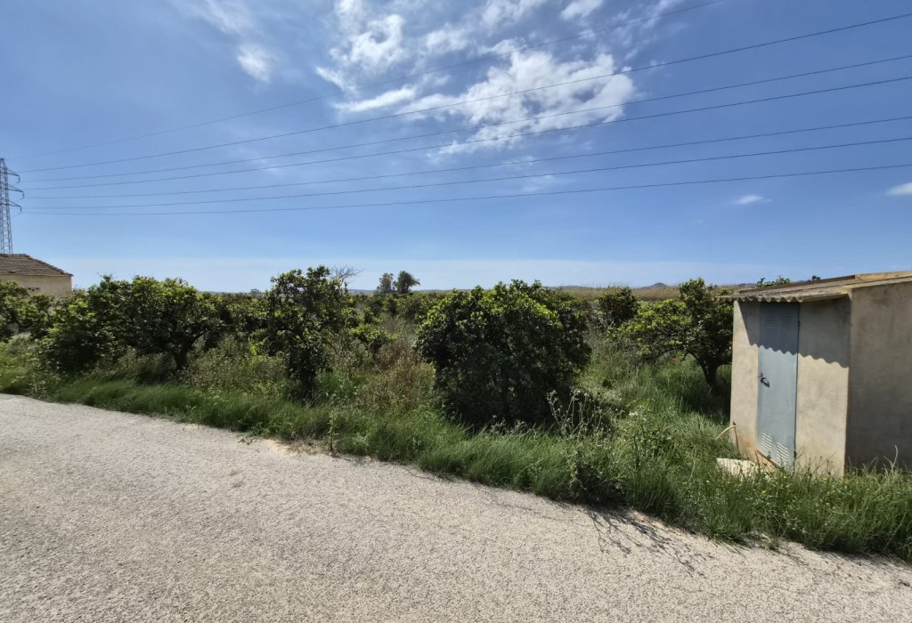 Venta - Parcela/Terreno - Guardamar del Segura