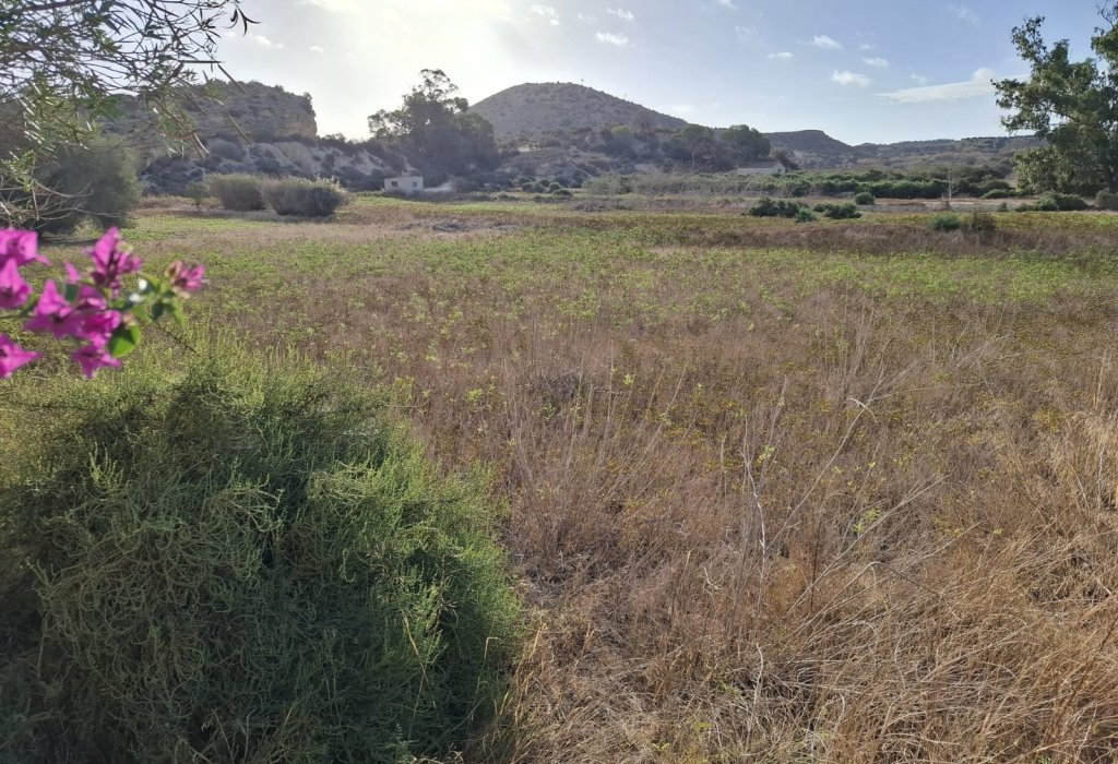 Venta - Parcela/Terreno - Rojales - Ciudad Quesada