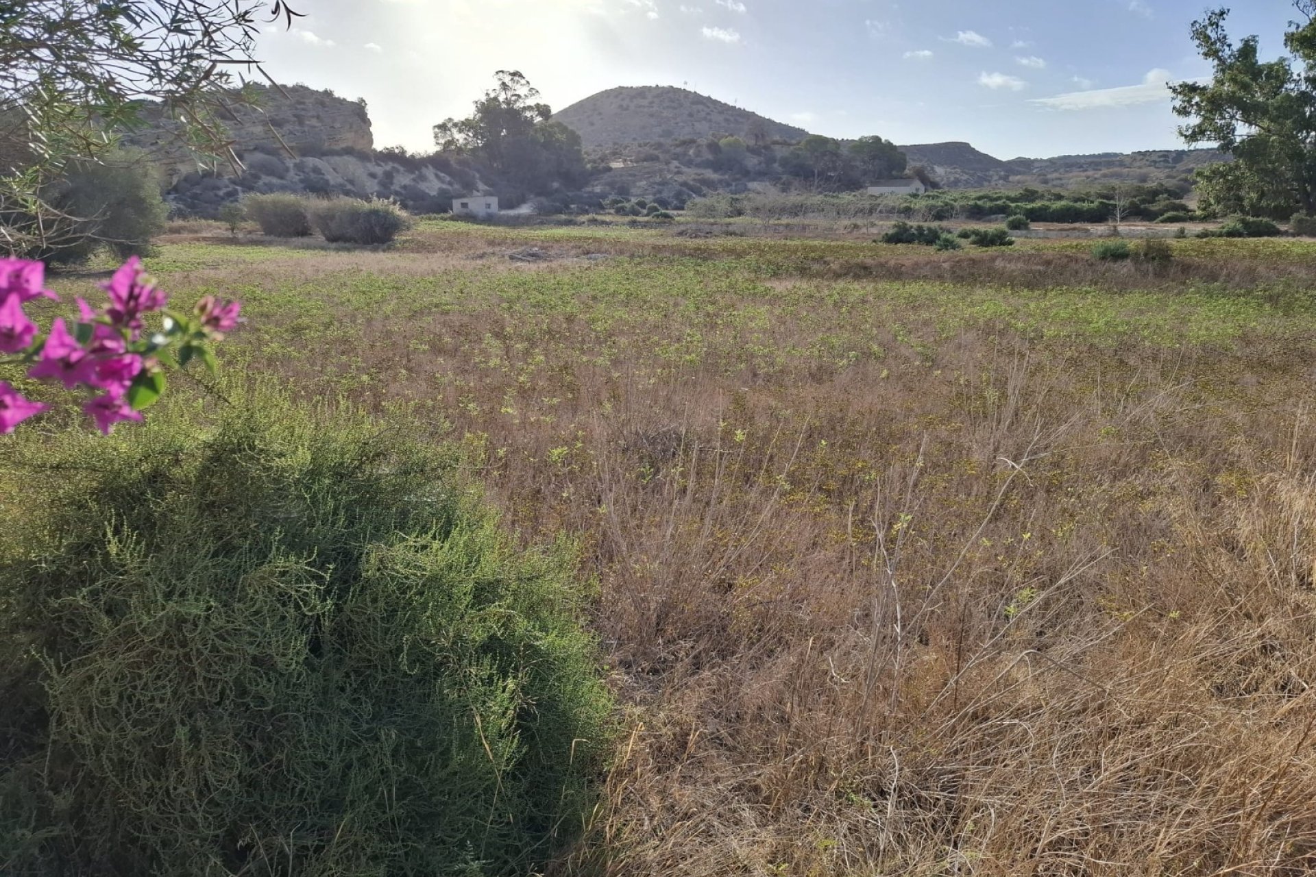 Venta - Parcela/Terreno - Rojales - Ciudad Quesada