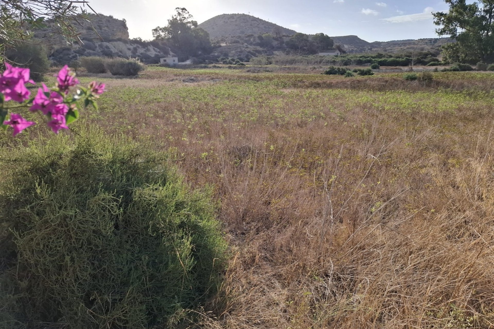 Venta - Parcela/Terreno - Rojales - Ciudad Quesada