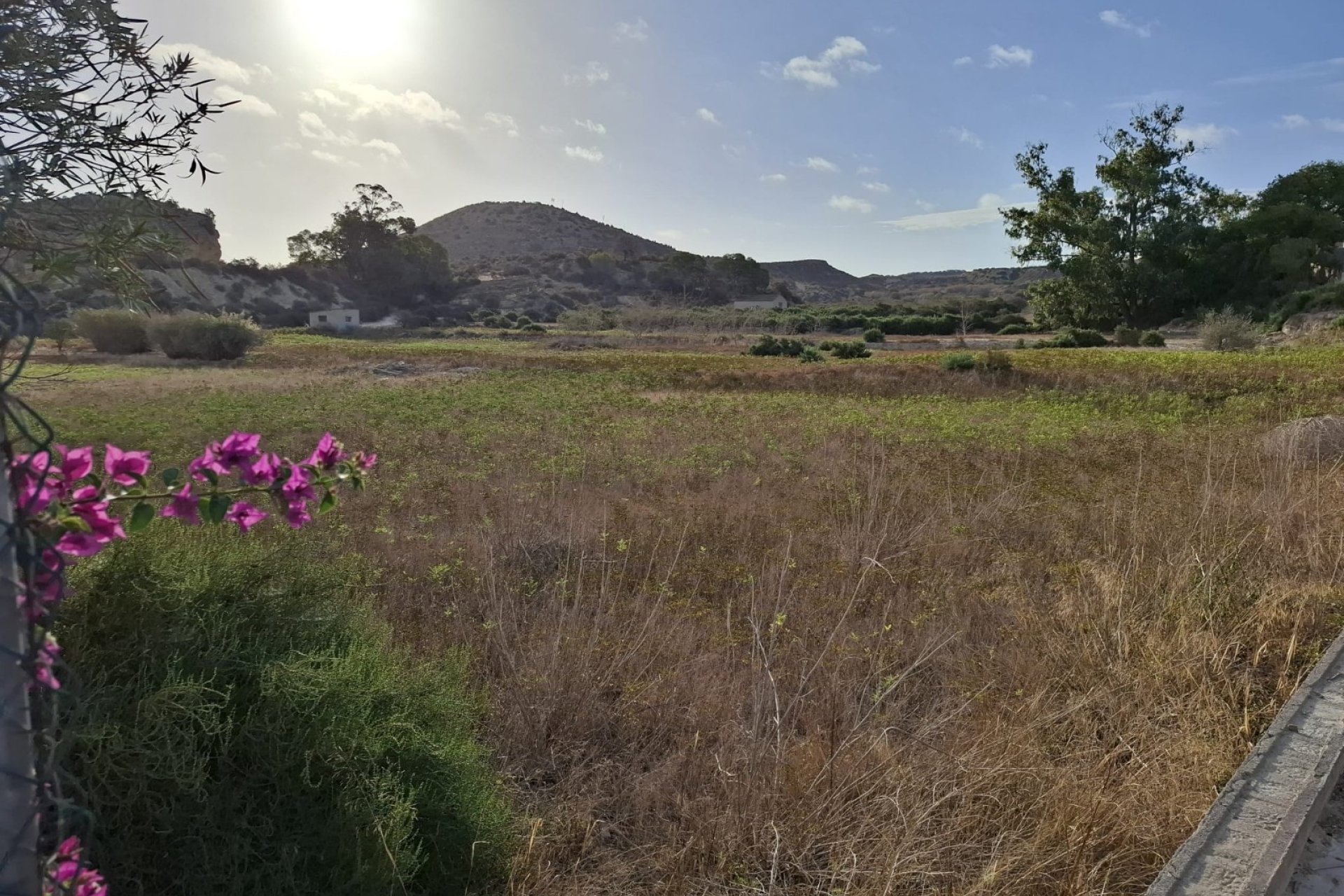 Venta - Parcela/Terreno - Rojales - Ciudad Quesada