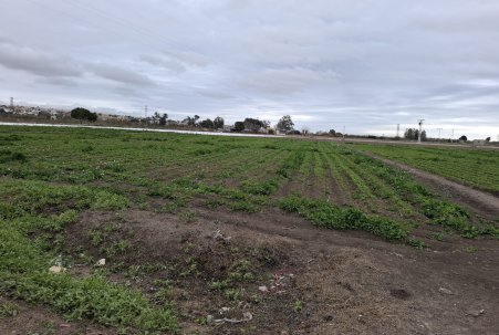 Verhaallijn - Sale - San Fulgencio - San Fulgencio