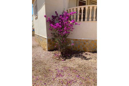 Venta - Chalet - Rojales - Ciudad Quesada