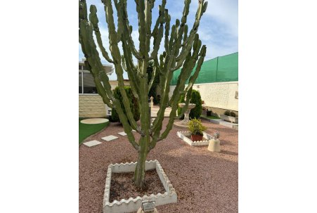 Sale - Villa - Elche Pedanías - La Marina