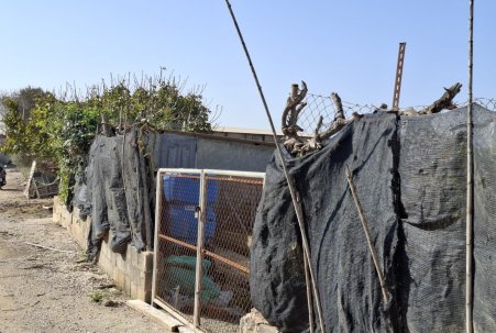Sale - Plot - Guardamar del Segura - Guardamar pueblo