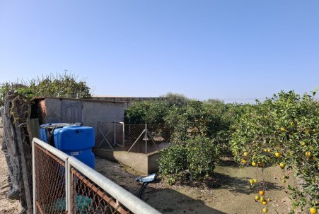 Sale - Plot - Guardamar del Segura - Guardamar pueblo