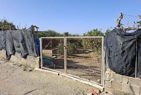 Sale - Plot - Guardamar del Segura - Guardamar pueblo