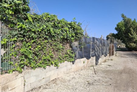 Sale - Plot - Guardamar del Segura - Guardamar pueblo