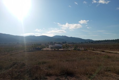 Sale - Villa - Algueña