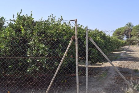 Sale - Plot - Guardamar del Segura - Guardamar pueblo